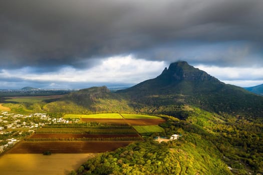 View from the height of the sown fields located on the island of Mauritius.