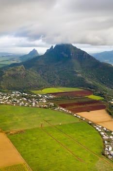 View from the height of the sown fields located on the island of Mauritius.