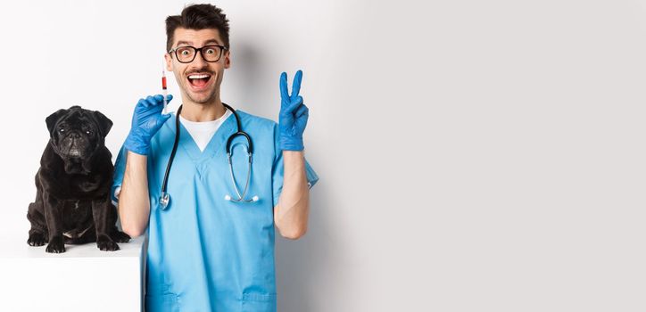 Handsome doctor veterinarian holding syringe and standing near cute black pug, vaccinating dog, white background.