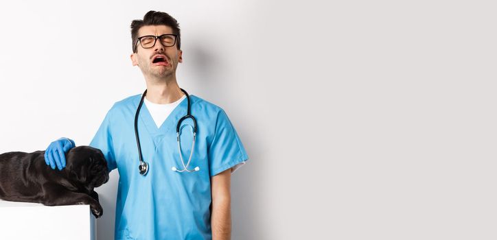 Sad male doctor filling pity for cute black dog pug lying sick on vet clinic table, veterinarian crying and petting puppy, white background.