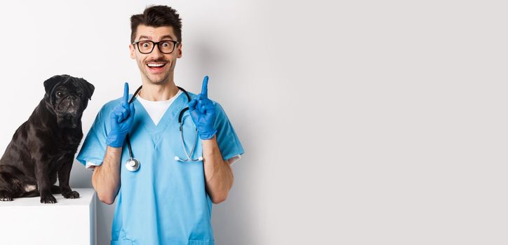 Handsome young doctor at vet clinic pointing finger up and smiling impressed, standing near cute black pug dog, white background.