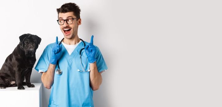 Cheerful handsome veteriantian in scrubs staring happy at cute little dog pug and smiling, pointing fingers up at promo offer, white background.