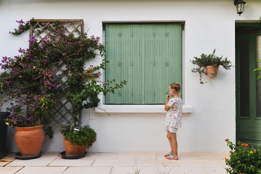 Facade of a traditional house with plants in Provence, France