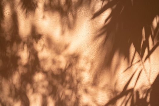 Natural shadow overlay on orange colored grunge wall concrete texture background. Textures Light reflection from the window.