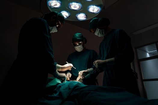 Surgical team performing surgery to patient in sterile operating room. In a surgery room lit by a lamp, a professional and confident surgical team provides medical care to an unconscious patient.