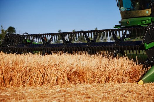 John Deere harvester works in the field. Combine Harvesting Wheat. Field field of cereals during harvesting. Modern equipment works. 07.07.22, Rostov region, Russia.