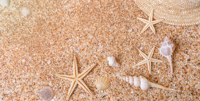 Sand shells banner background. Summer time concept with sea shells and starfish on the sand.