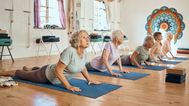 Yoga, exercise and elderly women stretching for balance, peace and wellness in zen studio. Meditation, calm and group of senior friends doing pilates workout for mind and body health in chakra class