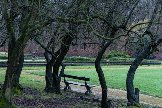 A scenic view of an old bench in rainy autumn park