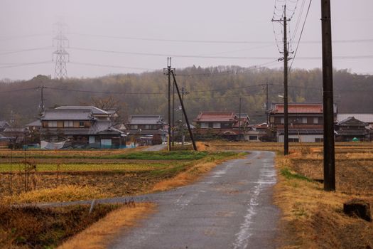 Narrow Road through Golden Fields in Small Japanese Village on Rainy Day. High quality photo