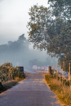 Foggy winter morning in village road, selective focus