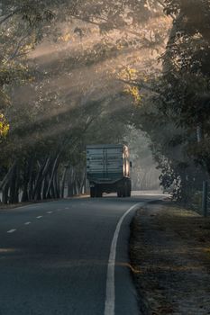 Driving in a foggy road in a winter morning, selective focus