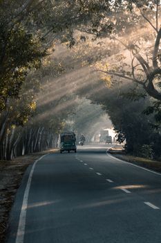 Driving in a foggy road in a winter morning, selective focus