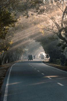 Driving in a foggy road in a winter morning, selective focus