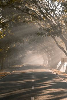 The sunrise as it rises in the foggy morning of winter, Selective Focus