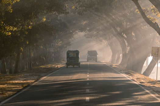 Driving in a foggy road in a winter morning, selective focus