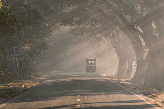 Driving in a foggy road in a winter morning, selective focus