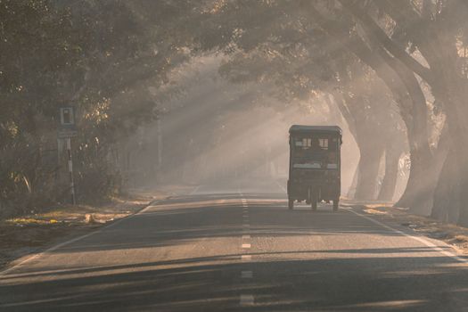 Driving in a foggy road in a winter morning, selective focus