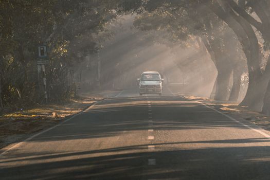 Driving in a foggy road in a winter morning, selective focus