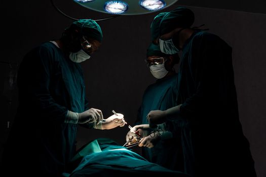 Surgical team performing surgery to patient in sterile operating room. In a surgery room lit by a lamp, a professional and confident surgical team provides medical care to an unconscious patient.