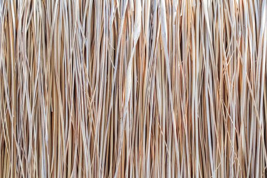 Close up of thatch roof or wall background. Tropical roofing on beach. High quality photo