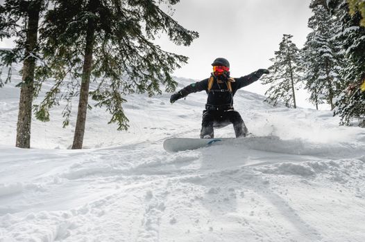 a woman on a snowboard in a helmet quickly descends from the ski slope in the middle of the forest, creating a plume of snow behind her. a girl on a snowboard brakes sharply in the forest.