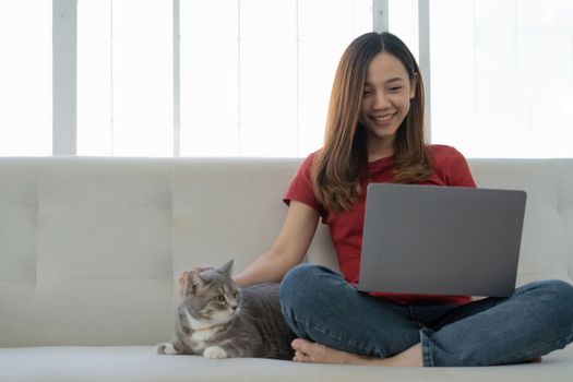 An attractive young woman is working on a laptop while sleeping a comfortable sofa at home with a cute assistant cat.
