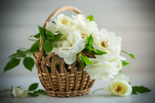 bouquet of beautiful white roses on a wooden table