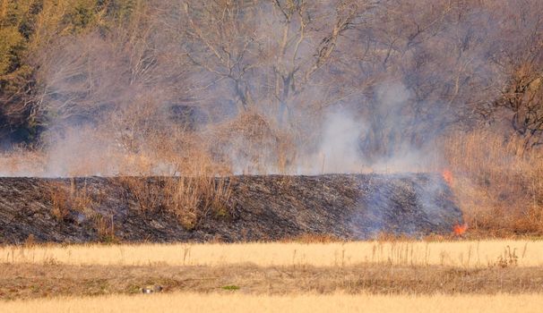 Fire line on dry grass on hillside leaving burned black ash trail. High quality 4k footage