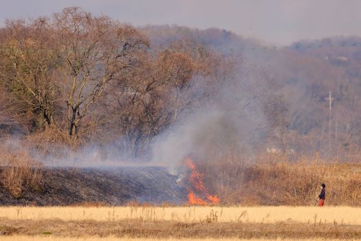 Hyogo, japan - February 5, 2023: Man watches fire and smoke on hill by dry field. High quality photo