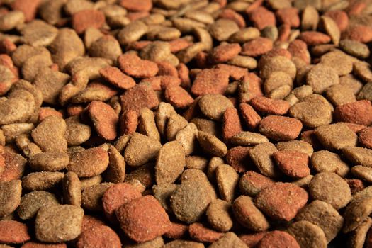 Close-up of pets dry food granules background.