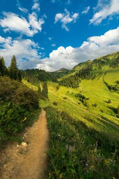 Summer trail in the Kimasar gorge with a view of Mount Furmanov. Popular weekend hiking route in Almaty mountains, vertical view.