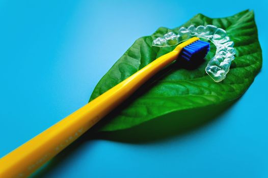 on a green leaf from a flower lies a bright toothbrush and a plastic bracket, close-up on a blue background.