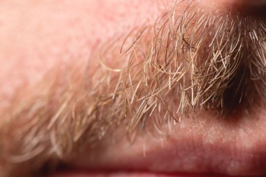 Front view of facial hair growing above the lip of a man, close-up of the stubble of a Caucasian man.