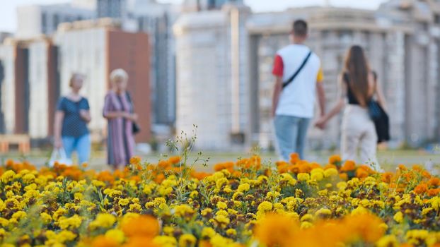People stroll through the city among the flower beds