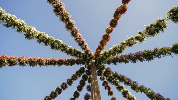 Hanging garlands of fresh flowers in a city park