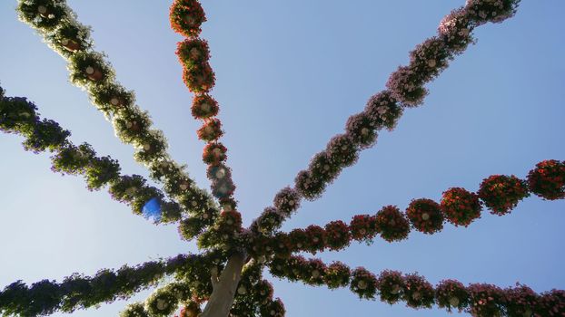 Hanging garlands of fresh flowers in a city park