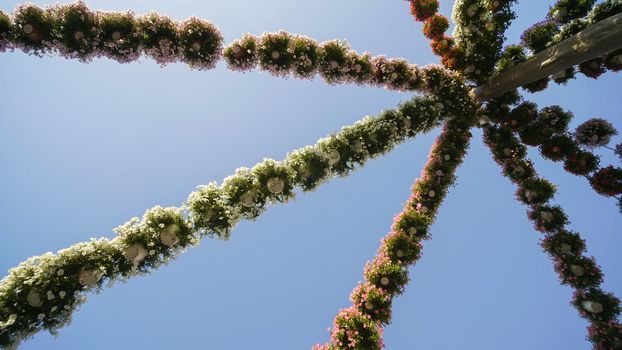 Hanging garlands of fresh flowers in a city park
