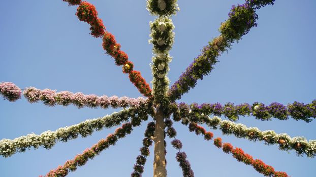 Hanging garlands of fresh flowers in a city park
