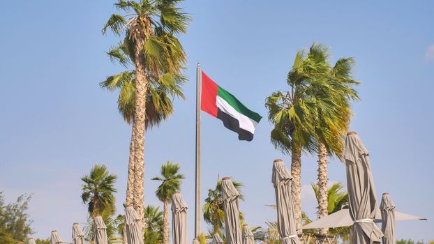 Flag United Arab Emirator on the background of palm trees on the beach