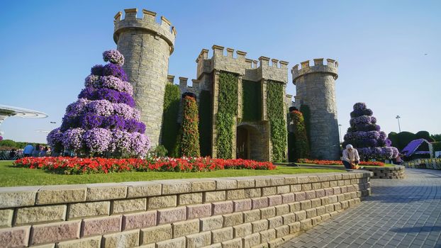 Dubai Miracle Garden in the UAE. It has over 45 million flowers.