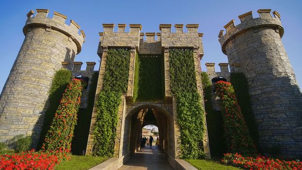Dubai Miracle Garden in the UAE. It has over 45 million flowers.