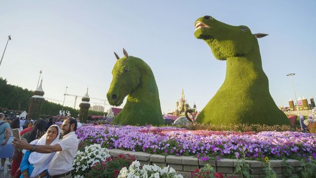 Exposition of horses in the Garden of Miracles in Dubai.