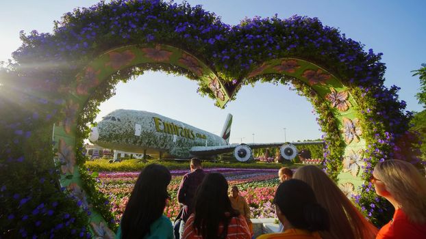 Dubai miracle garden: the world's largest natural flower garden. Setting real aircraft structure covered with flowers