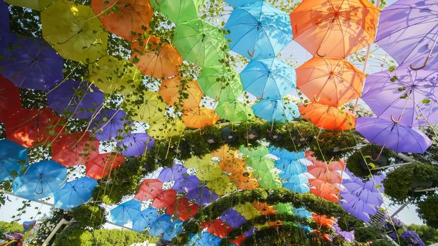 Multi-colored umbrellas in the park of the city
