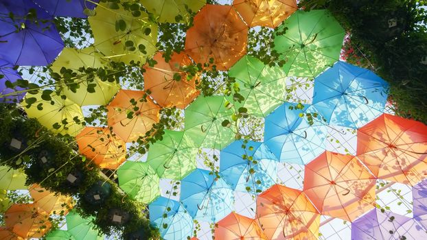 Multi-colored umbrellas in the park of the city