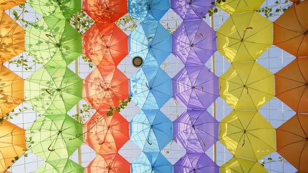 Multi-colored umbrellas in the park of the city