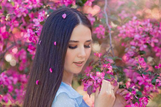 A beautiful brunette girl with long hair is standing near a pink blooming apple tree, in the summer in the park, a sunny day. Close up