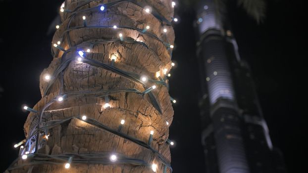 Garlands shine on the palm trees in Dubai at night