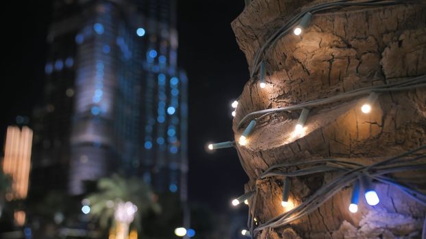 Garlands shine on the palm trees in Dubai at night
